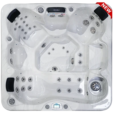 Avalon-X EC-849LX hot tubs for sale in Elkhart
